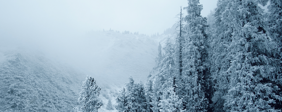Winter Pack logo